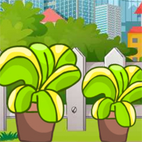 Free online flash games - G2M Cunning Critter Escape