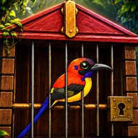 Free online flash games - Release the Caged Bonanza Bird