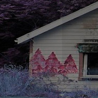 GFG Abandoned Log House Rescue