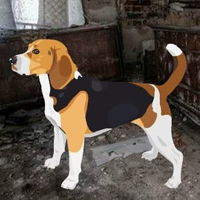 Escape Dog From Abandoned House HTML5