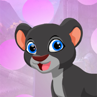 G4K Panther Escape Game