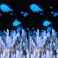 Harbor 5 Differences