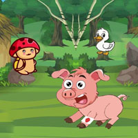Free online flash games - Help Troubled Wounded Piggy