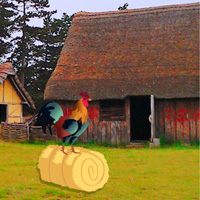 Big Village Escape