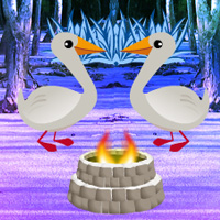 Duck Forest Escape