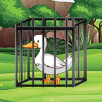 Free online flash games - G2M White Duck Rescue