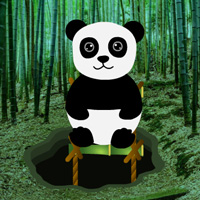 Bamboo Forest Panda Rescue