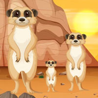 Free online flash games - G2M Little Otter Escape