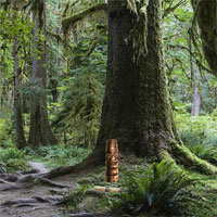 SD Amazon Jungle Escape