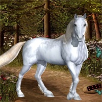 365Escape Forest of Shadows