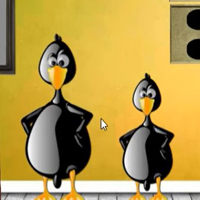 Find Penguin Doll