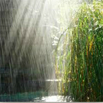 Summer Rain Find Numbers