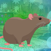 G4K Rodent Brown Rat Escape 