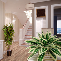 Modern Villa 365escape