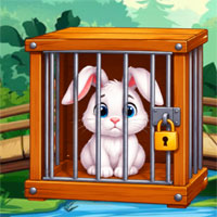 Free online flash games - G2M Save The Cute Bunny