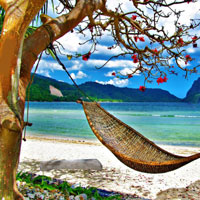 Tropical Paradise Escape Wowescape