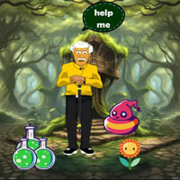 Free online flash games - Wow Grandpa Escaped Magical Village