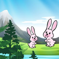 Free online flash games - Angry Bear Escape