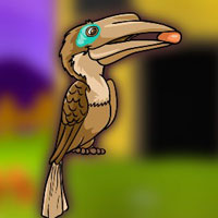 Austens Brown Hornbill Rescue