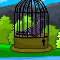 Free online flash games - G2M Help the Grey Pigeon Escape