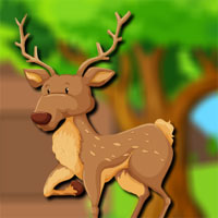 Avm Scottish Deer Escape