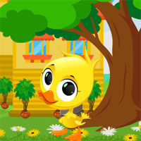 Avm Escape The Duck