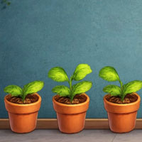 Free online flash games - Find Garden Buddy Nico