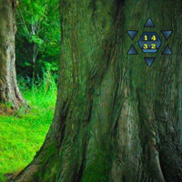 Enchanting Fantasy Forest Escape