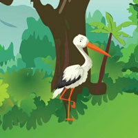 Free online flash games - BIG Finding Hungry Parrot