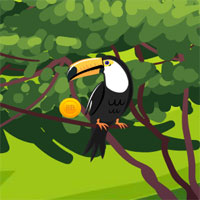 8b Toucan Couple Escape
