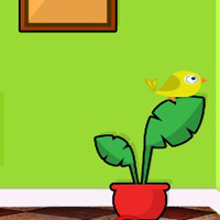 G2J Small Green House Escape