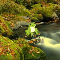 Wowescape Escape Game River Side