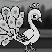 Free online flash games - White Peacock from Locked Cage