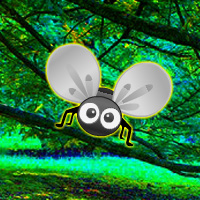 Games2rule Southern Forest Escape