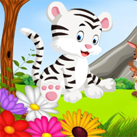 Cute Animals