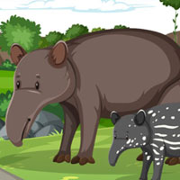 Free online flash games - G2M Little Light Escape