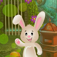 G4K Bunny Resuce Game