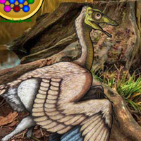 Wowescape Archaeopteryx Bird Forest Escape