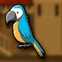  G2J Little Macaw Escape