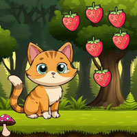 Free online flash games - Serve The Starving Cat