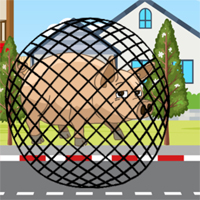 Free online flash games - G2M Free the Giant
