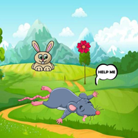 Free online flash games - Give First Aid Sick Rat
