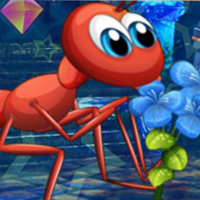  G4K Lovely Ant Escape