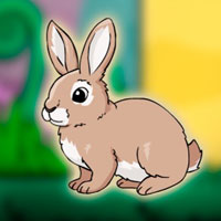Free online flash games -  Rescue the Hungry Bunny from Cage