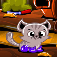 Free online flash games - Monkey Happy Stage 505