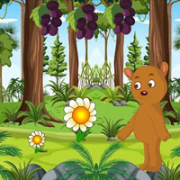 Free online flash games - Starving Bear Seeks Honey