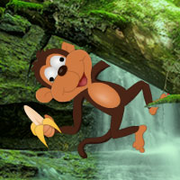 Wow Mad Monkey Forest Escape
