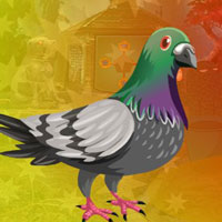 G4K Sedate Bird Escape