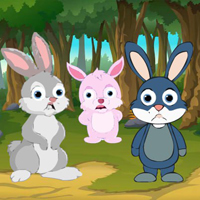 Wow Bunnies Seeking Water Fountain