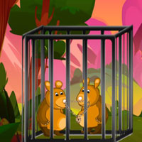 Free online flash games - G2M Pair Critter Rescue